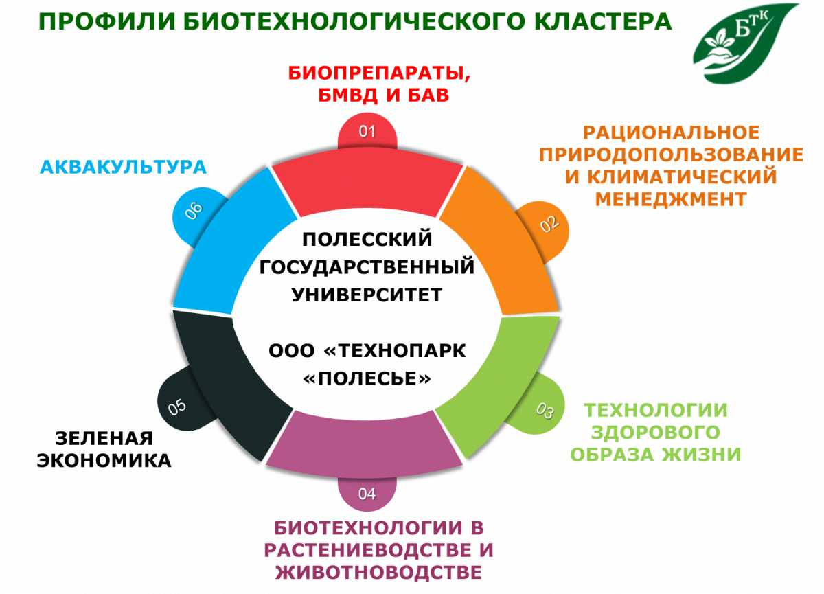 О кластере | Кластер